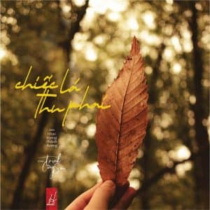 Trang Chủ 47 chiec la thu phai