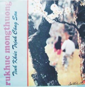 Trang Chủ 28 62.32 giong ca di vang 41