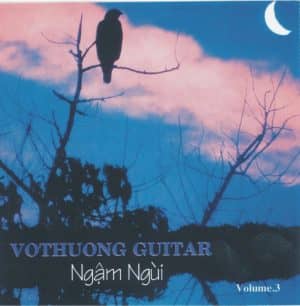 Trang Chủ 24 62.32 giong ca di vang 45