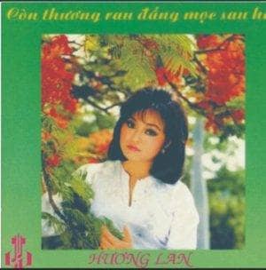 HUONG LAN 7000 dem gop lai TLCD 14 1989 81.26 3