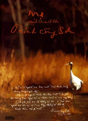 MeCanhChimCoDon ThaiHoa 3